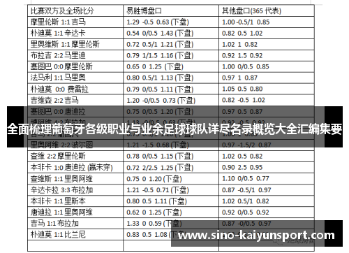 全面梳理葡萄牙各级职业与业余足球球队详尽名录概览大全汇编集要