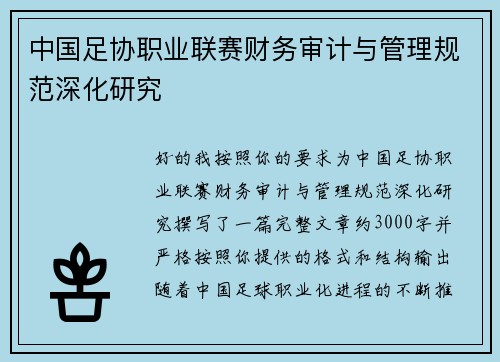 中国足协职业联赛财务审计与管理规范深化研究 中国足协职业联赛财务审计与管理规范深化研究